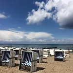 Auster, direkt am Alten Strom