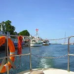 Auster, direkt am Alten Strom