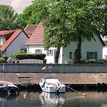 Auster, direkt am Alten Strom